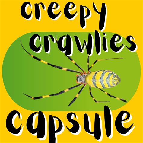 All About Insects Spiders And More Newsy Pooloozis Creepy Crawlies