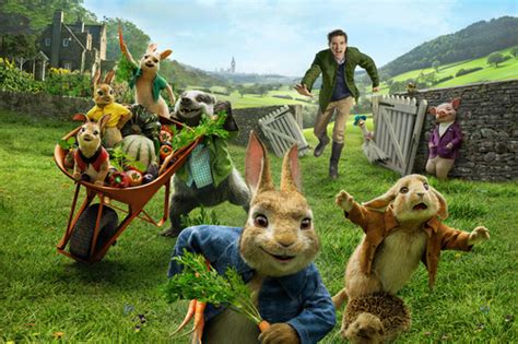Peter Rabbit Film Fictional Character 5k Wallpaper Hd