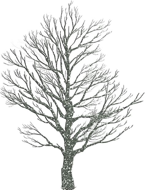 Pine Trees Drawing At Getdrawings Free Download