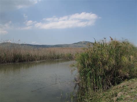 The Hula Nature Reserve שמורת החולה Israel ɑlɑstɑr ó