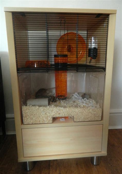 Qute Omlet Hamster Cage Review Perfect For Gerbils Love Chic Living