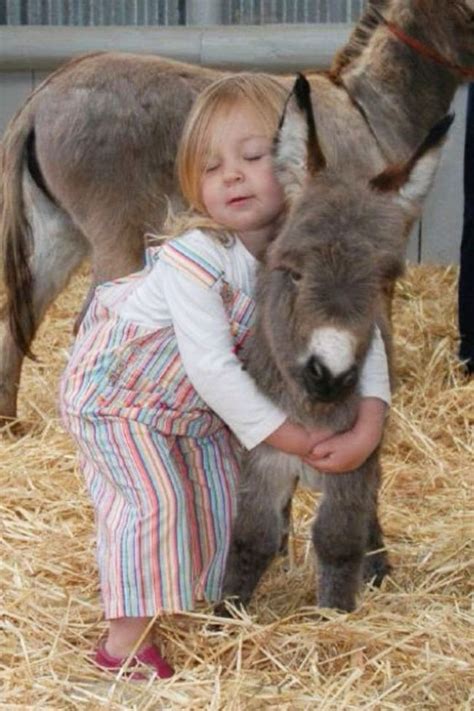 Miniature Donkeys Are Real And Theyre The Cutest Thing Ever Baby