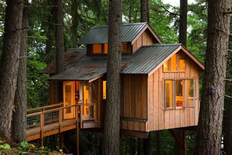Explore The Homes Of Adults Who Live In Treehouses Hypebeast