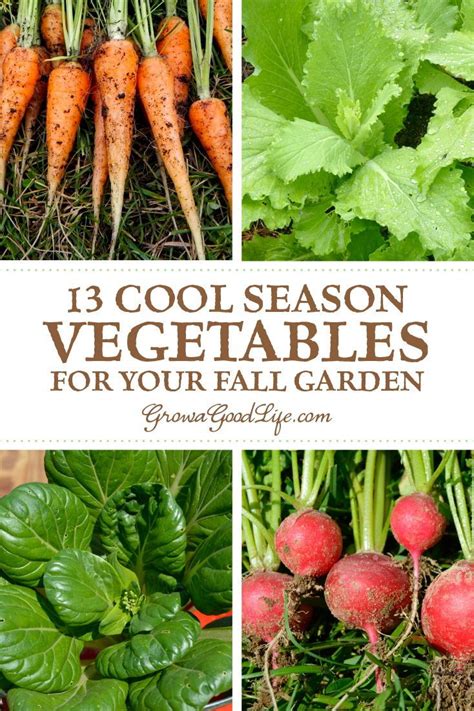 13 Quick Growing Vegetables For Your Fall Garden Growing