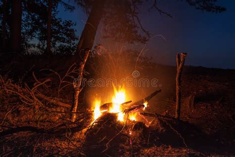 Blue Flame Campfire In The Woods Stock Photo Image Of Bonfire