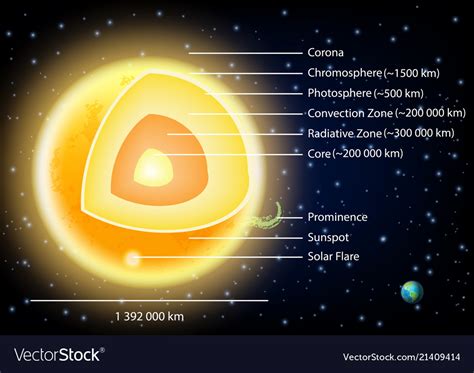Sun Structure Diagram Royalty Free Vector Image