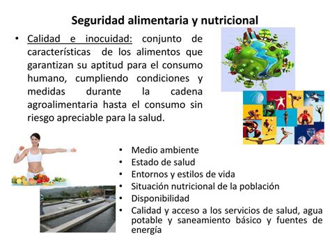 Ppt Seguridad Alimentaria Y Nutricional Powerpoint Presentation Free