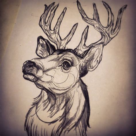 Sketch Deer Head Tattoo Stag Tattoo Design Deer Tattoo