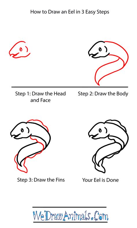 How To Draw A Baby Eel