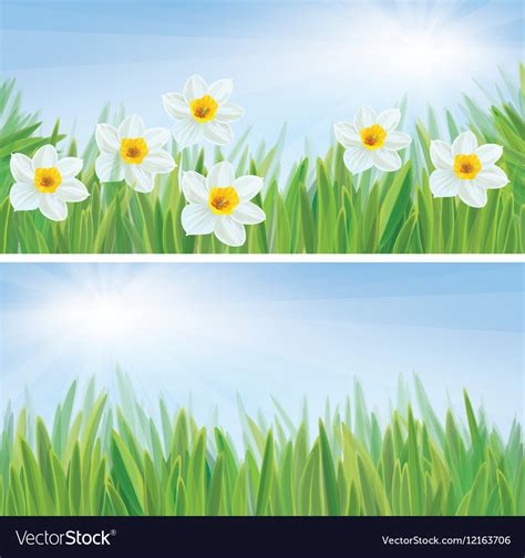 Spring Flowers Banners Royalty Free Vector Image