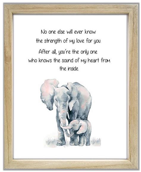 Elephant And Baby Elephant No One Else Will Ever Know The Strength Of