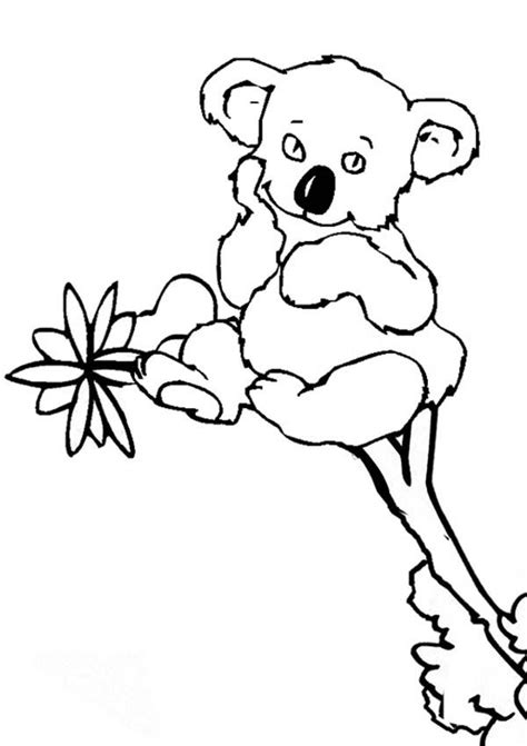 Free printable koala coloring pages for kids. Koala Bears Coloring Pages - Coloring Home