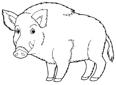 Boars Head Coloring Page Free Printable Coloring Pages For Kids