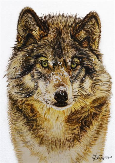 Wolf Painting Watercolor