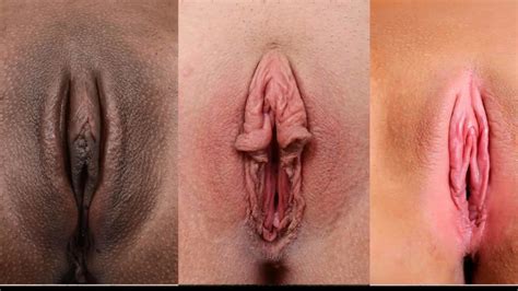 Types Of Vagina With Porno Hot Xxx Photos Best Porn Pics And Free Sex Images On Xxxpumper Com