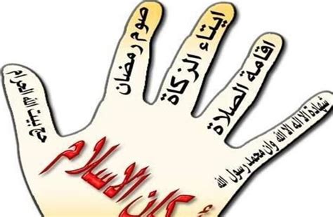 نتعلم من خلال التطبيق أركان الاسلام الخمسة اركان الايمان الصلاة الحج الوضوء اذكار منوعة اسماء الله الحسنى معاني اسماء الله الحسنى محمد رسول الله صلى الله عليه وسلم ولادته. هل اذا سقط ركن من اركان الاسلام الخمسة يكفر الانسان ؟ - فيديو