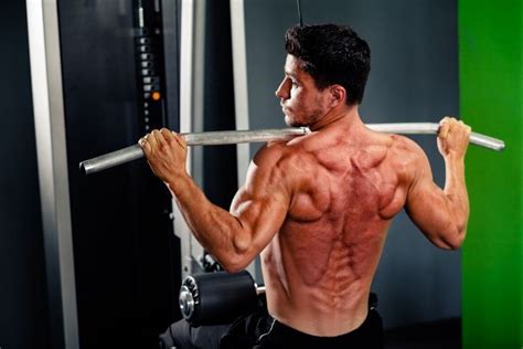 The back anatomy includes the latissimus dorsi, trapezius, erector