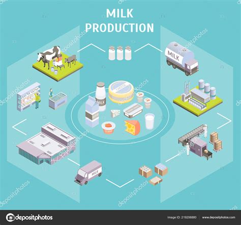 Production Delivering Milk Concept 3d Isometric View Vector Stock
