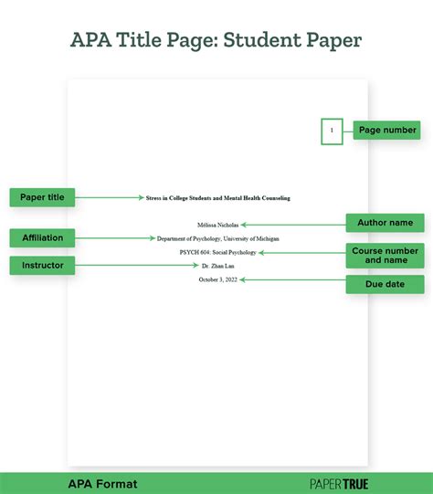 Research Paper Format Apa Mla And Chicago Style