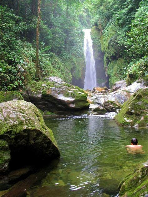 Pico Bonito National Park Is A Tropical Cloud Forest Near Laceiba