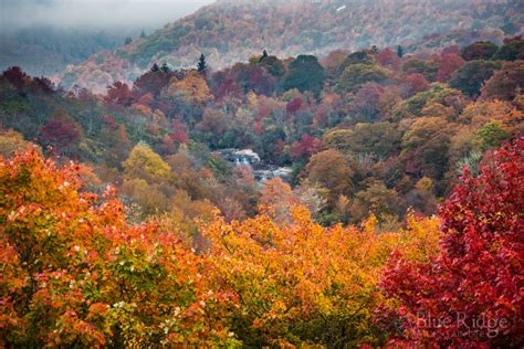 Fall Foliage 2022 Forecast And Guide Blue Ridge Mountain Life