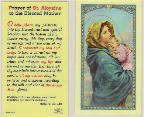 Prayer Of St Aloysius To The Blessed Mother