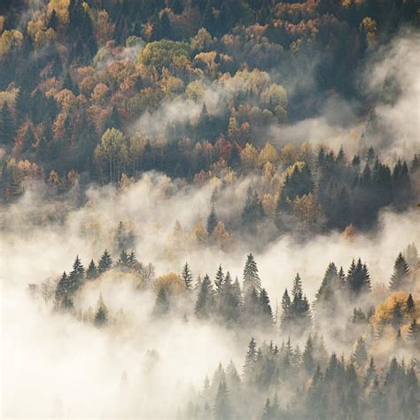 View Of Misty Fog Mountains In Autumn Photograph By Valentin Valkov