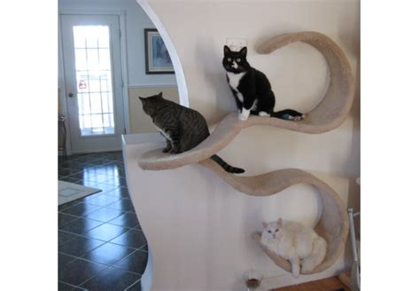 Modern cat wall shelves, cat wall steps & wall mounted cat trees. Wall mounted cat shelf - BigDIYIdeas.com