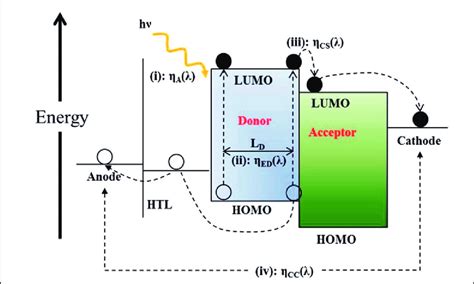 Dye sensitized solar cells (dssc) are thin film solar cells based on the photo electrochemical figure 2 depicts an energy diagram of a dye solar cell. Schematic of the mechanism of an organic solar cell | Download Scientific Diagram