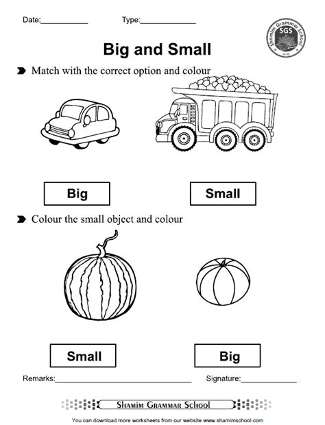Big And Small Concept Free Printable Worksheet For Class Playgroup And