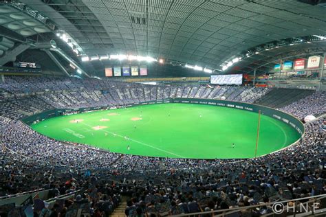 Sapporo Dome Stadium Info Hokkaido Nipponham Fighters