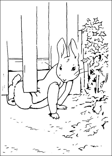 Peter Rabbit Coloring Pages