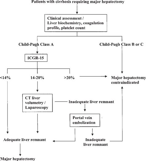 Flow Chart Showing Approach To Preoperative Assessment For Selecting