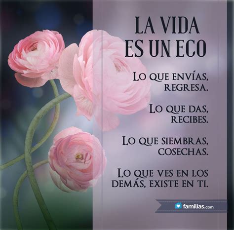 En todos los aspectos de la vida, a la larga o a la corta, solo cosechas lo que siembras (anónimo) cuando ya no somos capaces de cambiar una situación, nos encontramos ante el desafío de cambiarnos a nosotros mismos (víctor frankl) La vida es un eco. | Imagenes | Pinterest | La vida es ...
