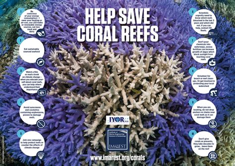 Infographic Shows Ways To Save The Coral Reefs Safety4sea