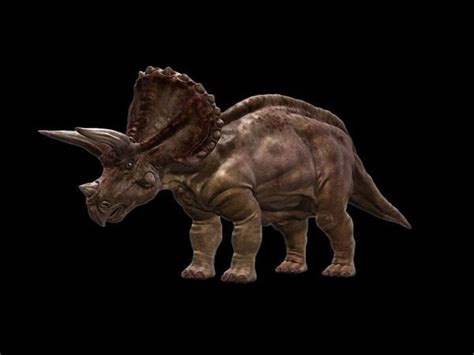 Triceratops Horridus Facts And Photos Animals Lion Sculpture Dinosaur