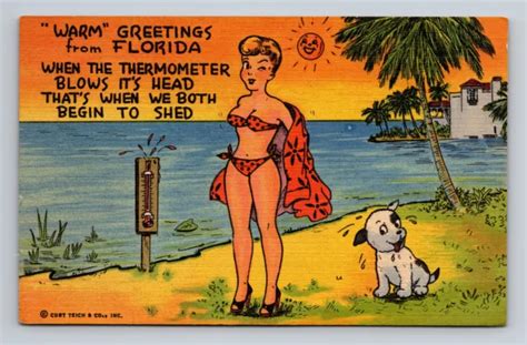 VTG COMIC Linen Postcard Woman Bathing Suit Risque Hot Florida Day Cartoon PicClick