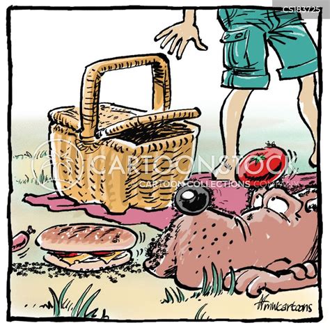 Picnic Basket Cartoons And Comics Funny Pictures From Cartoonstock