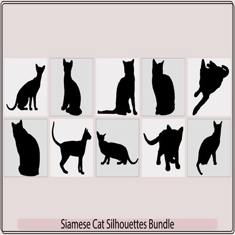 Siamese Colorpoint Cats Vector Illustrationsiamese Catcats Border