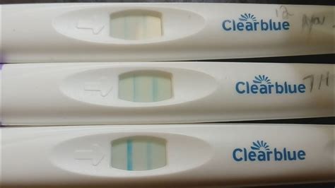 Clear Blue Ovulation Test Two Lines Pregnancy Test