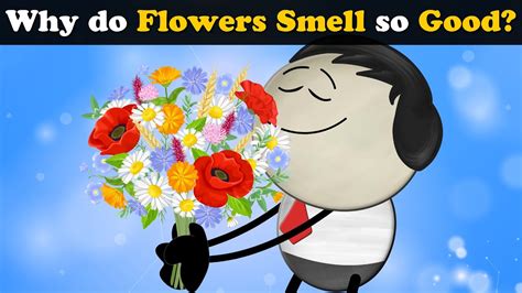 Why Do Flowers Smell So Good More Videos Aumsum Kids Science