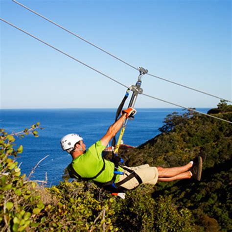 Catalina Island Activities And Adventure Things To Hotel Metropole