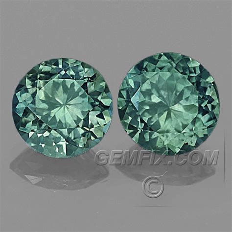 Unheated Green Round Pair Of Montana Sapphires 185cts Total 12