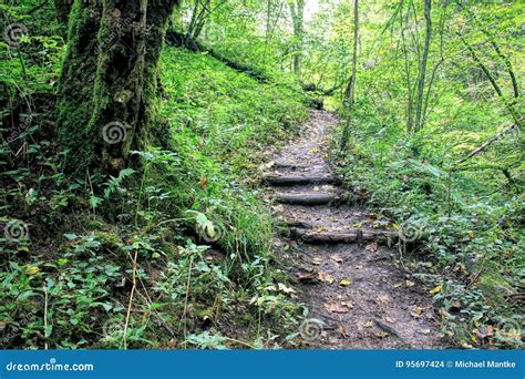 Black Forest Hiking Trail Through The Wutachschlucht Germany Stock