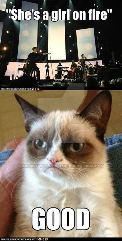 Rip Grumpy Cat 6 Grumpy Cat Memes To Remember The Popular