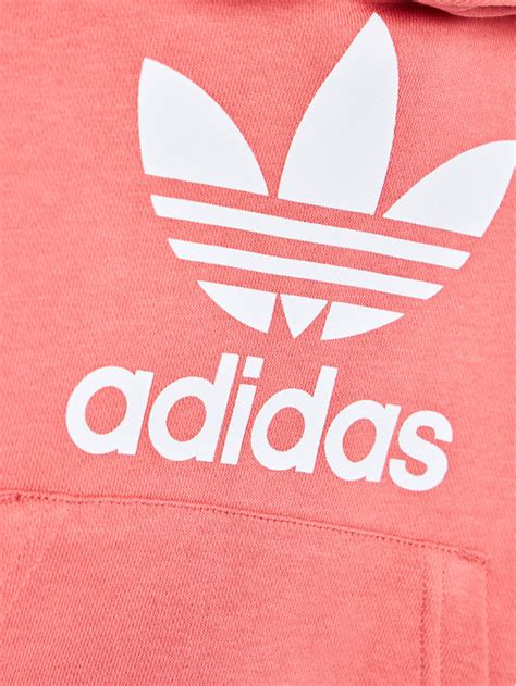 Adidas Bluza Trefoil Gn8258 Różowy Regular Fit Modivopl