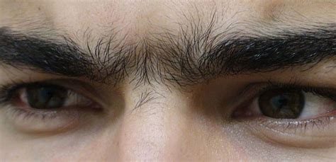 How To Get Rid Of A Unibrow Home Remedies For Getting Rid Of Unibrow