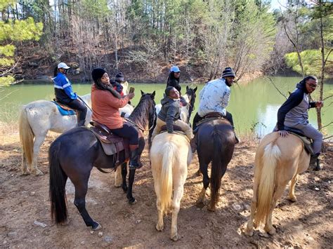 Explore These 5 Horseback Riding Stables In Birmingham Laptrinhx News