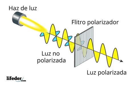 Polarización De La Luz Tipos Ejemplos Aplicaciones