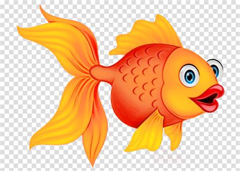 Goldfish Png Cartoon Transparent Png Illustrations And Cipart Matching Common Goldfish